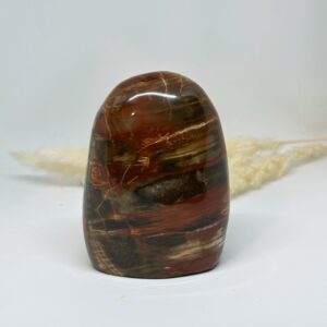Petrified Wood