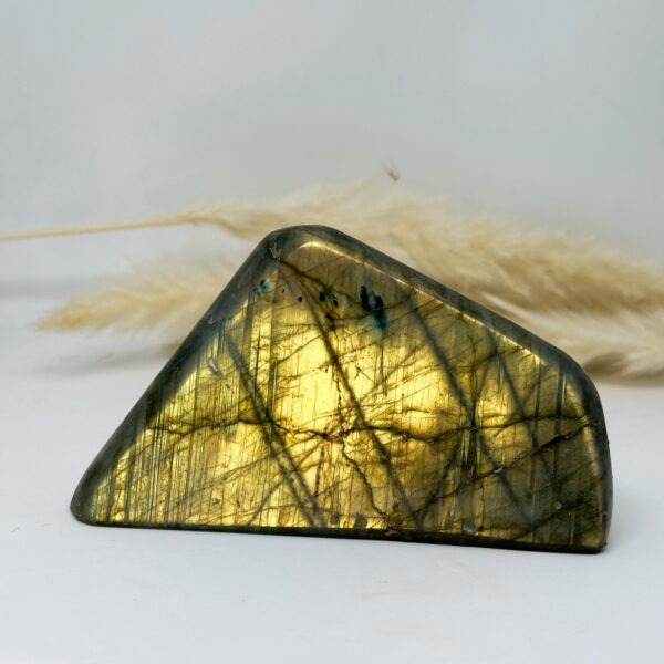 Labradorite Golden