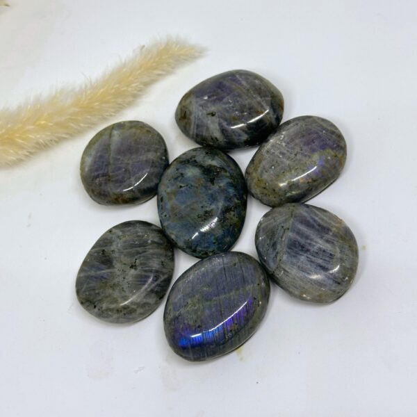 Labradorite Palm