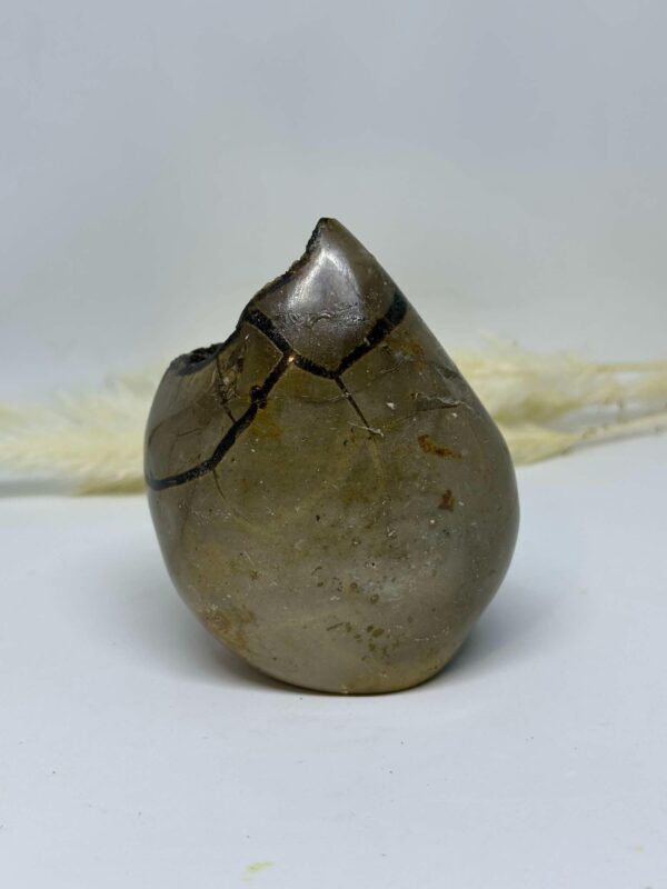 Black Septarian - Image 4